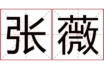 薇名字意思